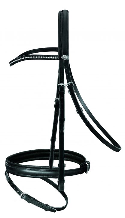 Trense Jupiter